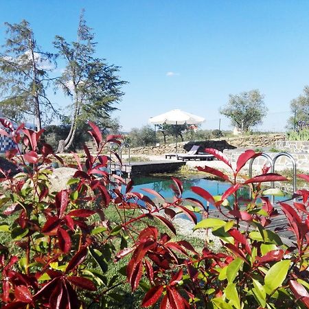 Alfândega da Fé Bela Vista Silo Housingヴィラ エクステリア 写真