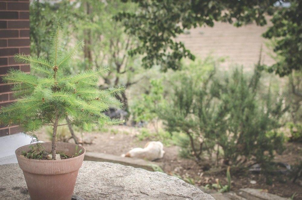 Alfândega da Fé Bela Vista Silo Housingヴィラ エクステリア 写真