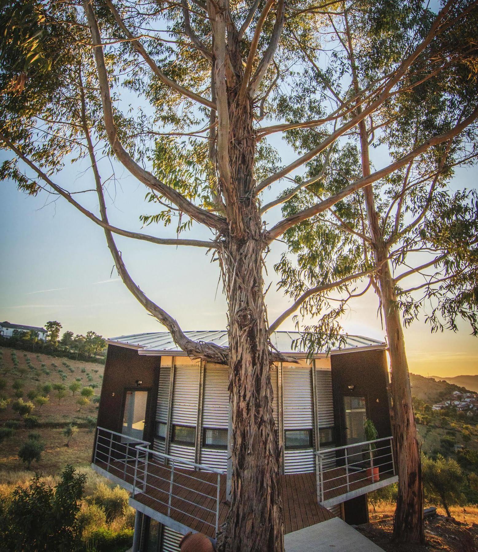 Alfândega da Fé Bela Vista Silo Housingヴィラ エクステリア 写真